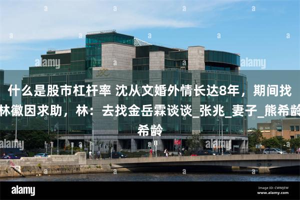 什么是股市杠杆率 沈从文婚外情长达8年，期间找林徽因求助，林：去找金岳霖谈谈_张兆_妻子_熊希龄